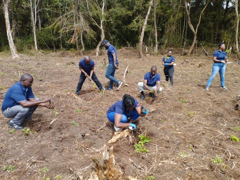 Tree Planting 2023 Kimende